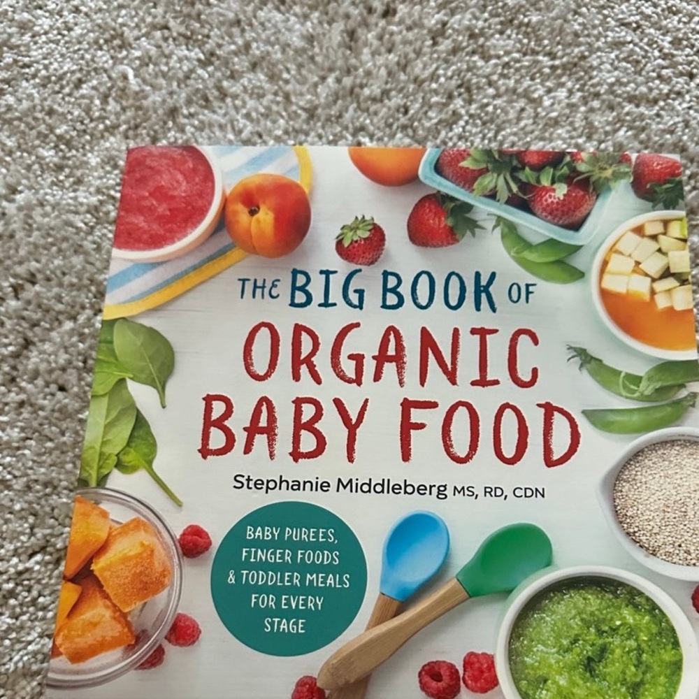 The Big Book of Organic Baby Food